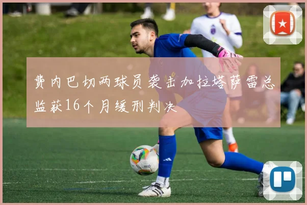 费内巴切两球员袭击加拉塔萨雷总监获16个月缓刑判决